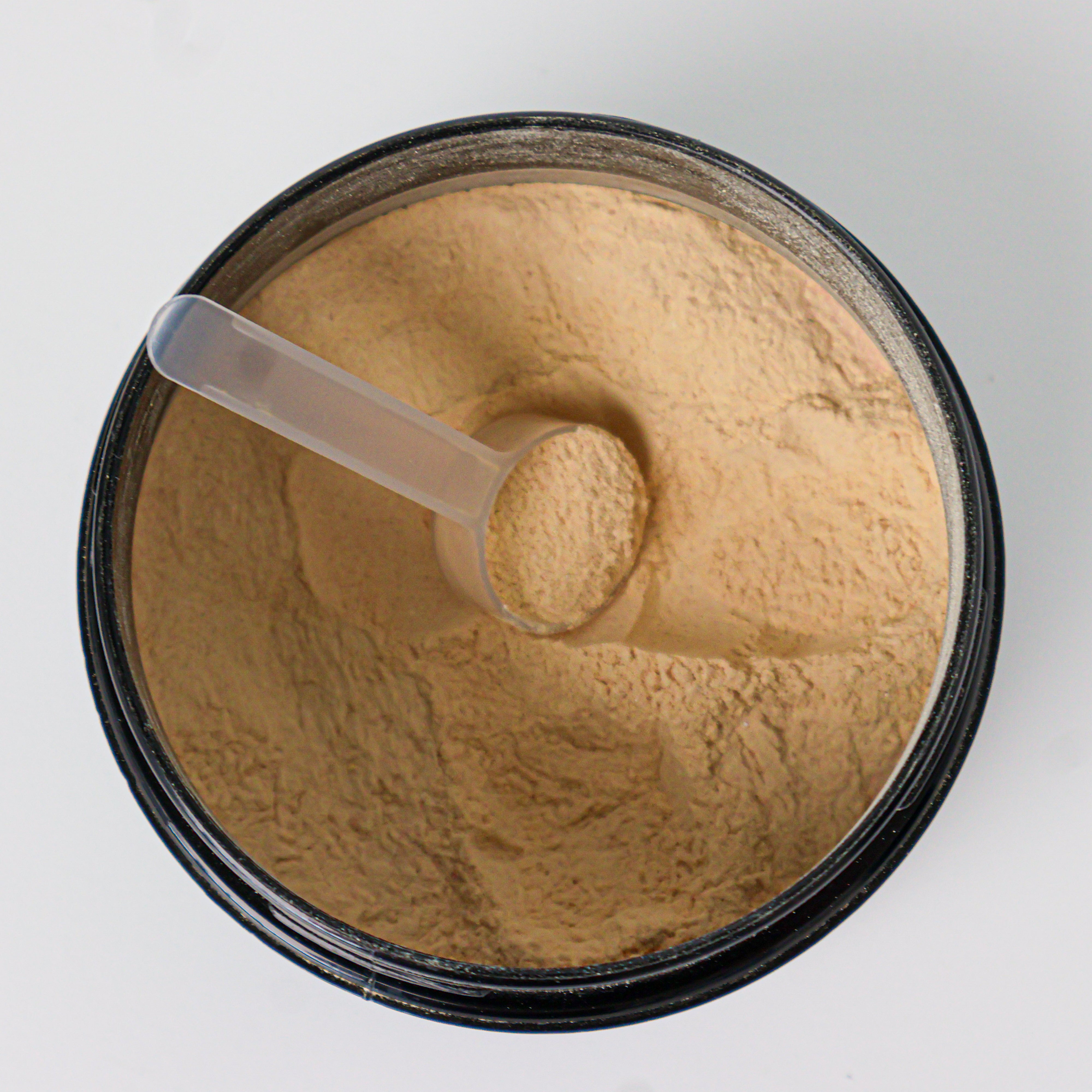 VocalGuard Vault — scoop resting in the powder inside the open container, seen from above.